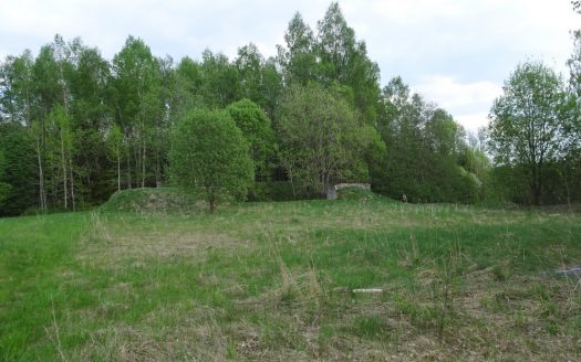 MÜÜA PURAVIKU kinnistu, Viraksaare k, Paide, Järvamaa