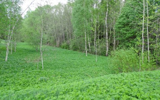 MÜÜA PURAVIKU kinnistu, Viraksaare k, Paide, Järvamaa