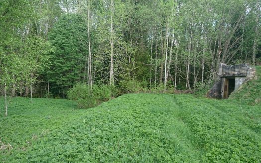 MÜÜA PURAVIKU kinnistu, Viraksaare k, Paide, Järvamaa